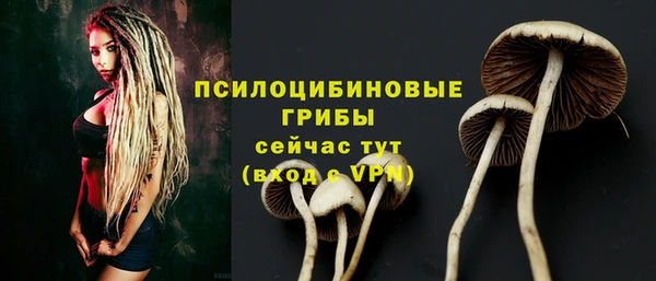 a pvp Алексин