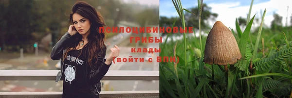 спайс Алексеевка