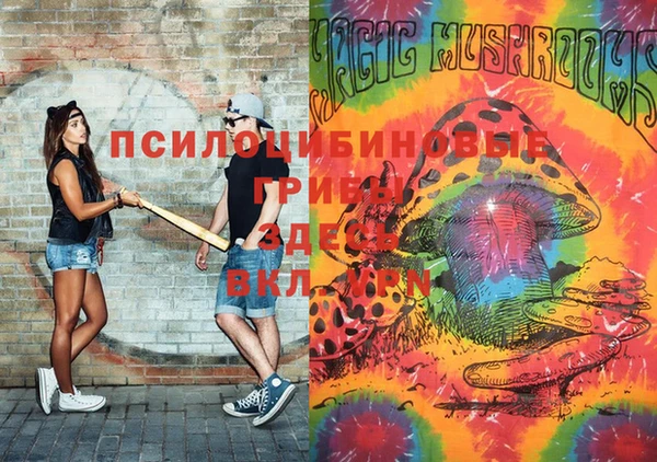 a pvp Алексин
