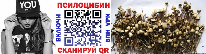 Галлюциногенные грибы мухоморы  Бахчисарай 