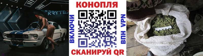 Бошки Шишки планчик  цена   Бахчисарай 